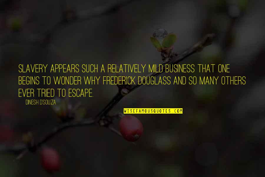 Energetic Intelligence Quotes By Dinesh D'Souza: Slavery appears such a relatively mild business that