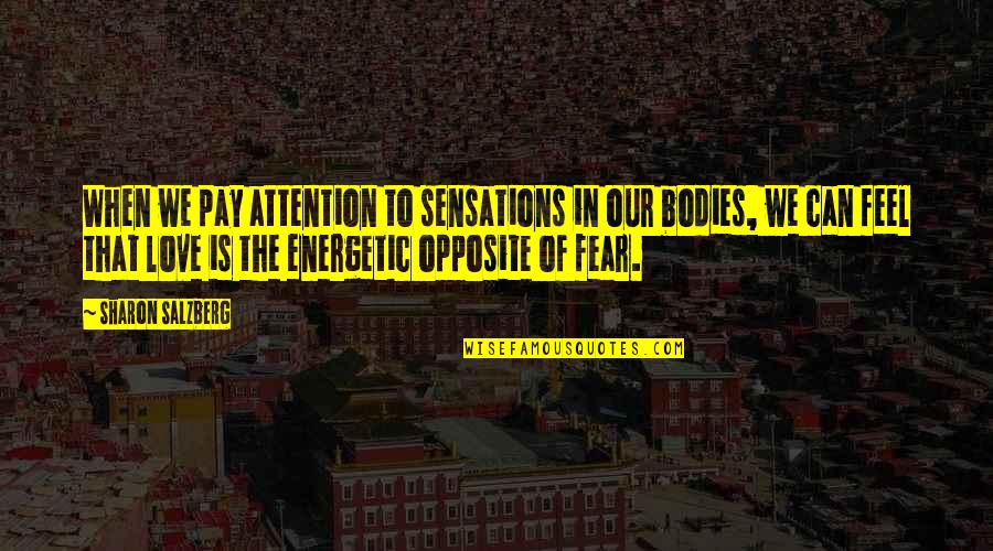 Energetic Love Quotes By Sharon Salzberg: When we pay attention to sensations in our