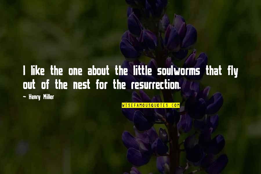 Energetic Quotes Quotes By Henry Miller: I like the one about the little soulworms