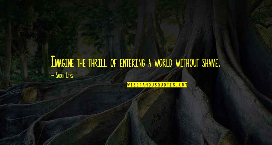 Energetske Izkaznice Quotes By Sarah Liss: Imagine the thrill of entering a world without