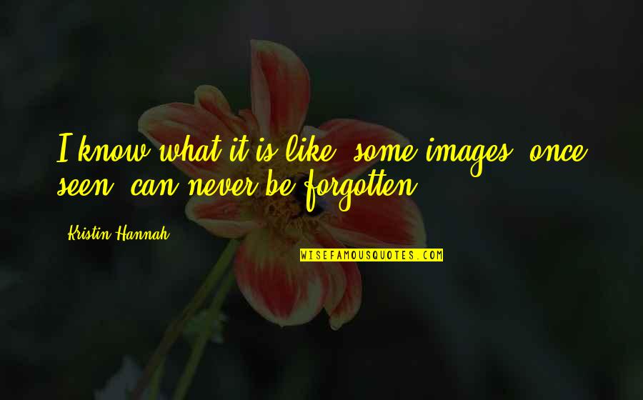 Energize Funny Quotes By Kristin Hannah: I know what it is like; some images,