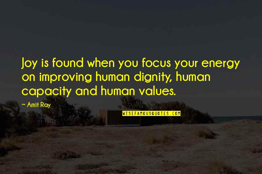 Energy And Focus Quotes By Amit Ray: Joy is found when you focus your energy