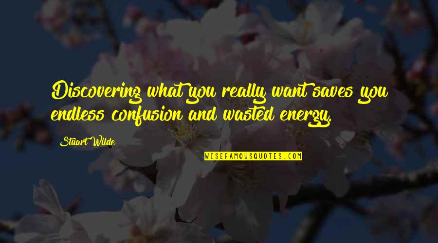 Energy And Focus Quotes By Stuart Wilde: Discovering what you really want saves you endless