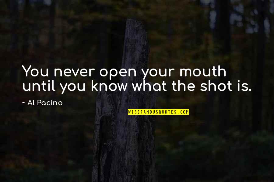 Energy And Sustainability Quotes By Al Pacino: You never open your mouth until you know