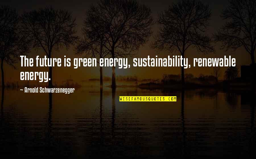 Energy And Sustainability Quotes By Arnold Schwarzenegger: The future is green energy, sustainability, renewable energy.