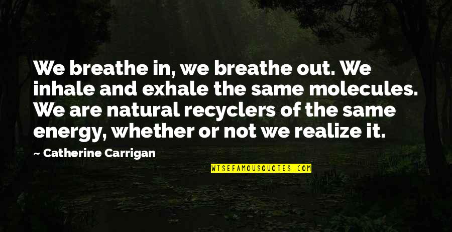 Energy And The Universe Quotes By Catherine Carrigan: We breathe in, we breathe out. We inhale
