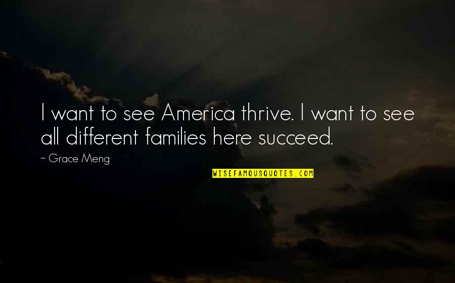 Energy Drain Quotes By Grace Meng: I want to see America thrive. I want