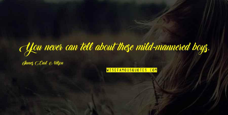 Energy Levels Quotes By James Carl Nelson: You never can tell about these mild-mannered boys. Energy Levels Quotes By James Carl Nelson: You never can tell about these mild-mannered boys.