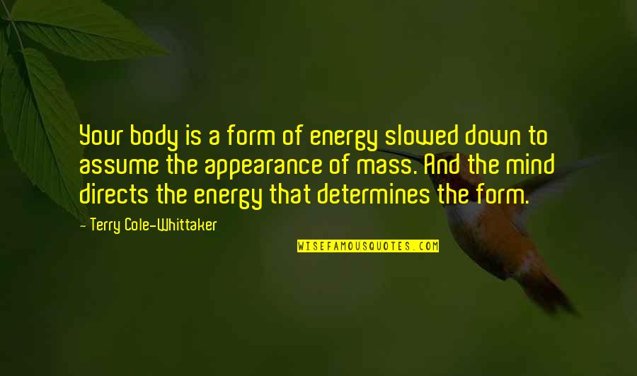 Energy Of The Mind Quotes By Terry Cole-Whittaker: Your body is a form of energy slowed