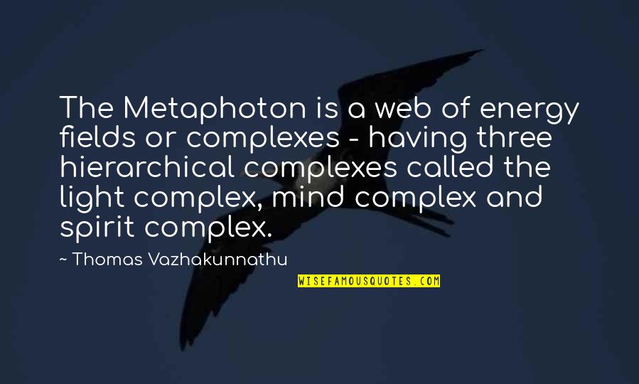 Energy Of The Mind Quotes By Thomas Vazhakunnathu: The Metaphoton is a web of energy fields