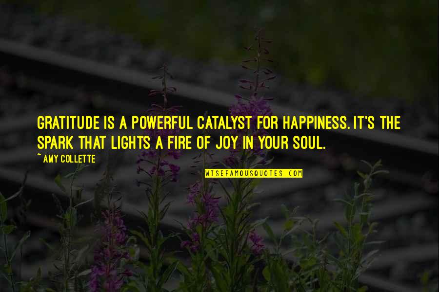 Energy Positive Quotes By Amy Collette: Gratitude is a powerful catalyst for happiness. It's