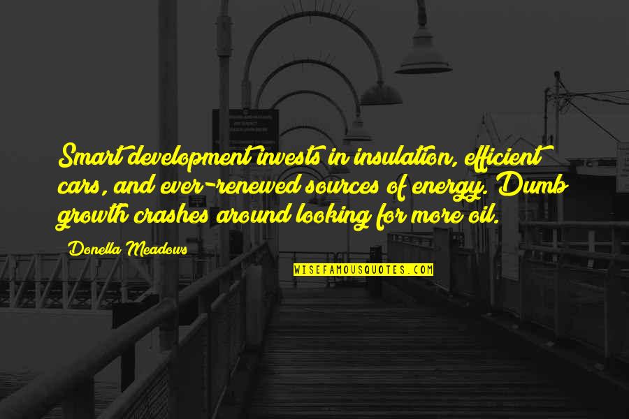 Energy Sources Quotes By Donella Meadows: Smart development invests in insulation, efficient cars, and