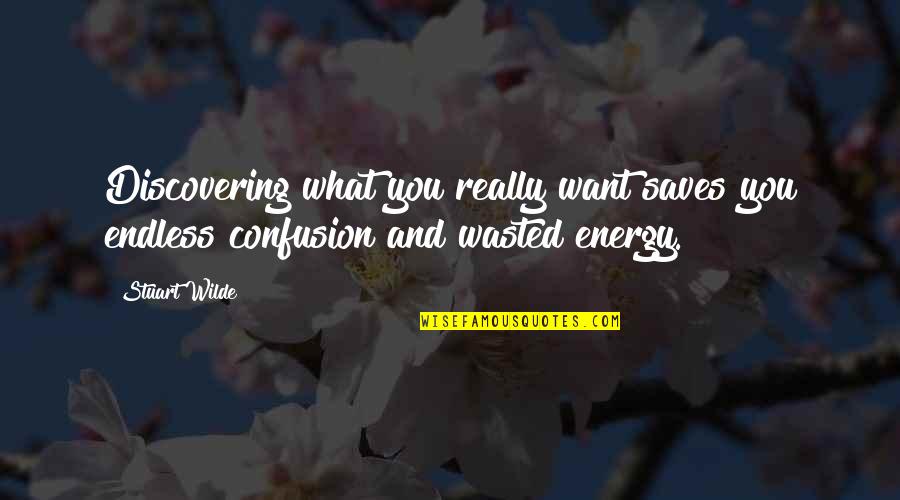 Energy Wasted Quotes By Stuart Wilde: Discovering what you really want saves you endless
