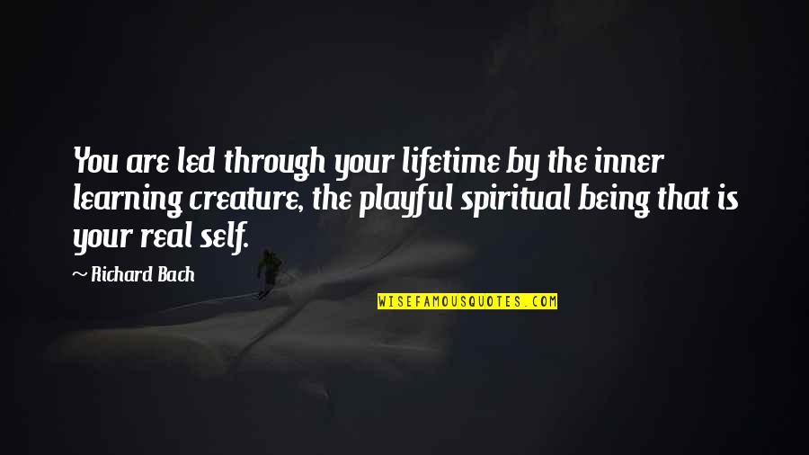 Enessally Quotes By Richard Bach: You are led through your lifetime by the