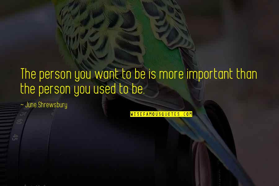 Enfeebl Quotes By June Shrewsbury: The person you want to be is more