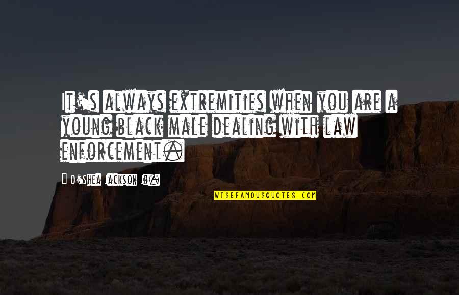 Enforcement Quotes By O'Shea Jackson Jr.: It's always extremities when you are a young
