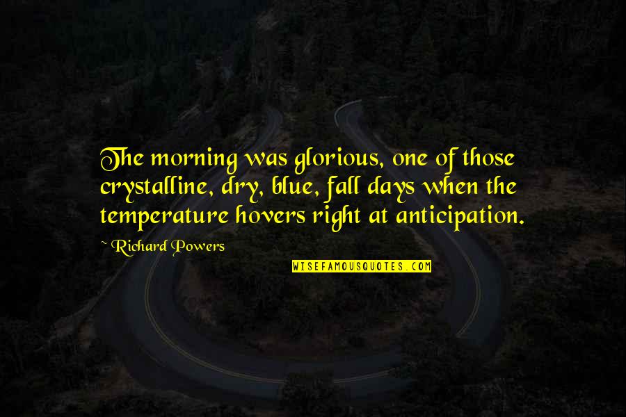 Enfrentar Desafios Quotes By Richard Powers: The morning was glorious, one of those crystalline,