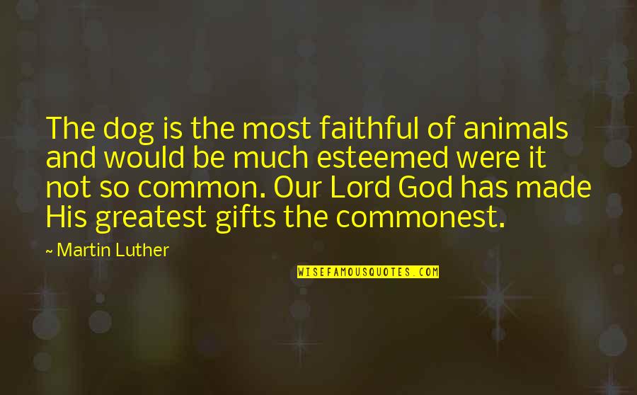 Enganada Em Quotes By Martin Luther: The dog is the most faithful of animals Enganada Em Quotes By Martin Luther: The dog is the most faithful of animals