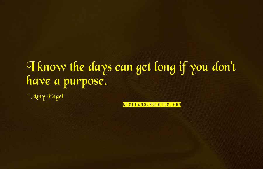 Engel Quotes By Amy Engel: I know the days can get long if