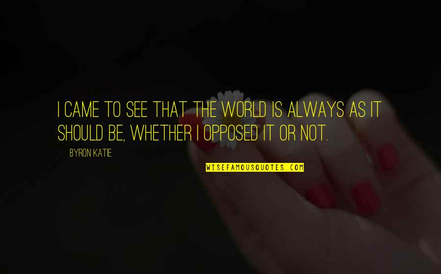 Engelbart Rentals Quotes By Byron Katie: I came to see that the world is