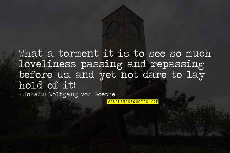 Engelhorn Gastro Quotes By Johann Wolfgang Von Goethe: What a torment it is to see so