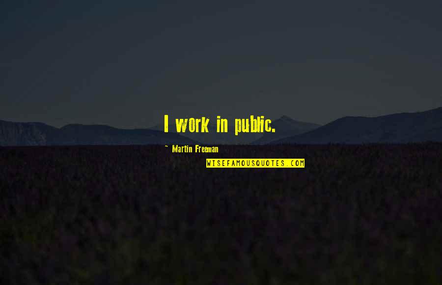 Engineering Graphics Funny Quotes By Martin Freeman: I work in public.