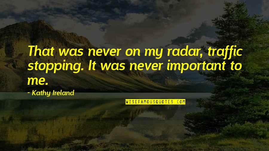 Engineering Jobs Quotes By Kathy Ireland: That was never on my radar, traffic stopping.