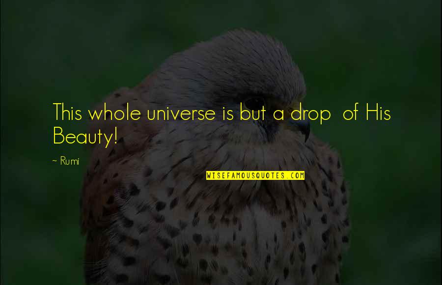 Engineering Opinion Quotes By Rumi: This whole universe is but a drop of