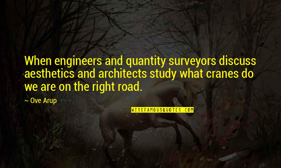 Engineers Quotes By Ove Arup: When engineers and quantity surveyors discuss aesthetics and