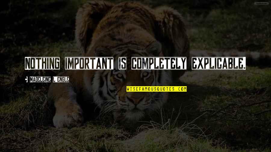 Engle Quotes By Madeleine L'Engle: Nothing important is completely explicable. Engle Quotes By Madeleine L'Engle: Nothing important is completely explicable.