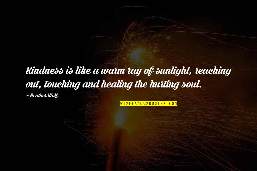 English Book Quotes By Heather Wolf: Kindness is like a warm ray of sunlight,