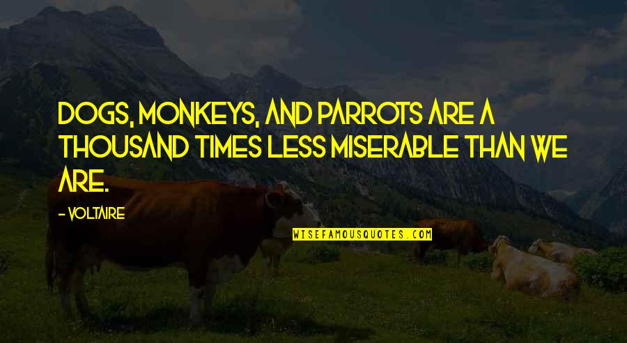 English Humour Quotes By Voltaire: Dogs, monkeys, and parrots are a thousand times