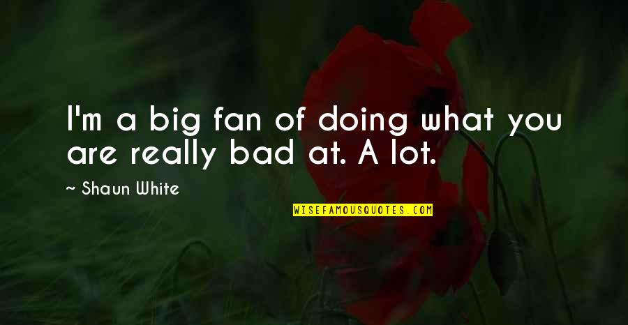 English In Tagalog Quotes By Shaun White: I'm a big fan of doing what you