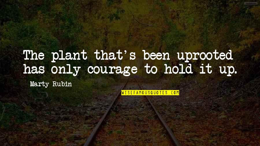 English Language Change Quotes By Marty Rubin: The plant that's been uprooted has only courage