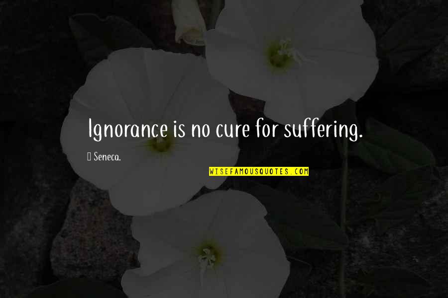 English Learning Motivation Quotes By Seneca.: Ignorance is no cure for suffering.