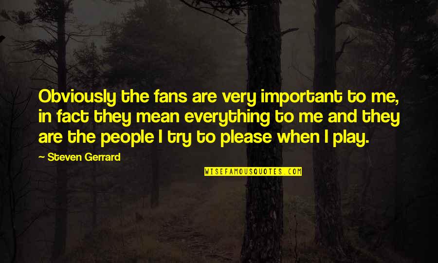 English Muffins Quotes By Steven Gerrard: Obviously the fans are very important to me,