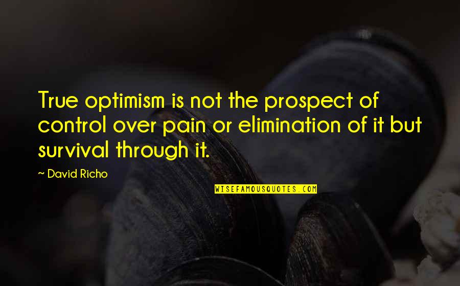 Enhancing Natural Beauty Quotes By David Richo: True optimism is not the prospect of control