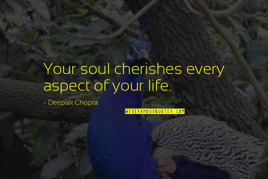 Enhle Mbali Quotes By Deepak Chopra: Your soul cherishes every aspect of your life. Enhle Mbali Quotes By Deepak Chopra: Your soul cherishes every aspect of your life.
