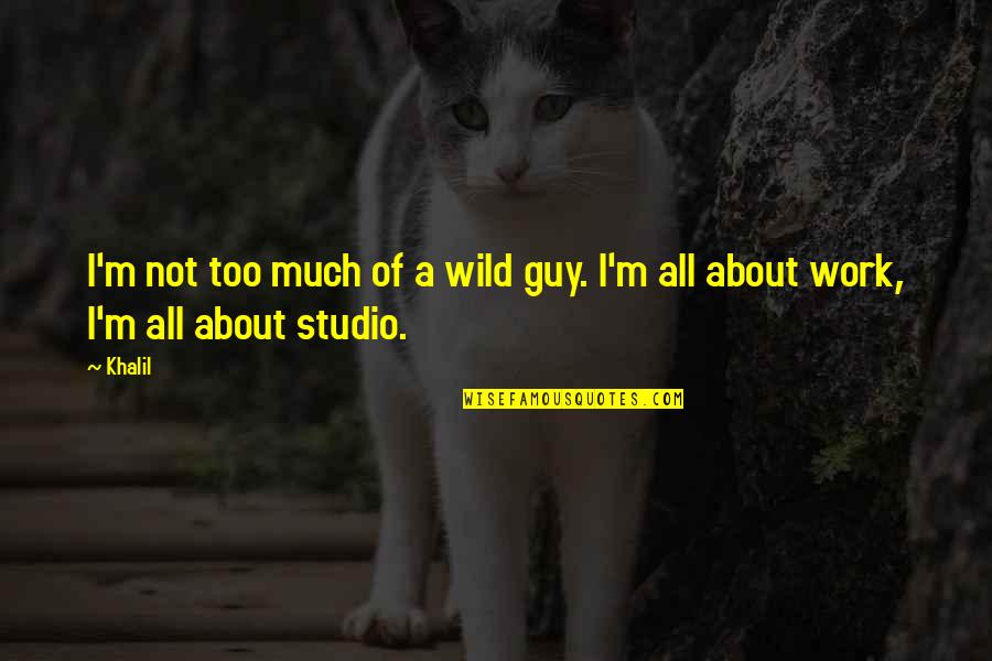 Enid Frick Quotes By Khalil: I'm not too much of a wild guy.