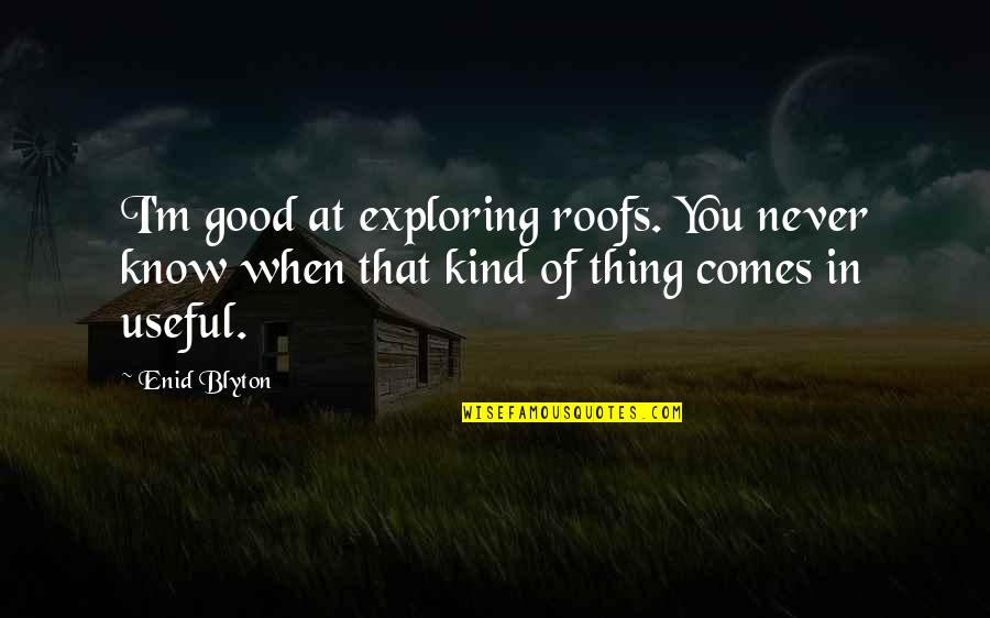 Enid's Quotes By Enid Blyton: I'm good at exploring roofs. You never know