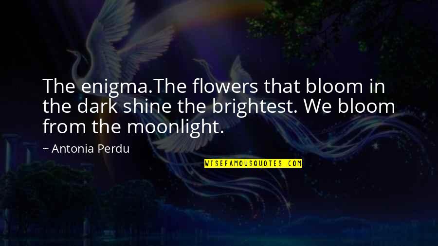Enigma Quotes By Antonia Perdu: The enigma.The flowers that bloom in the dark