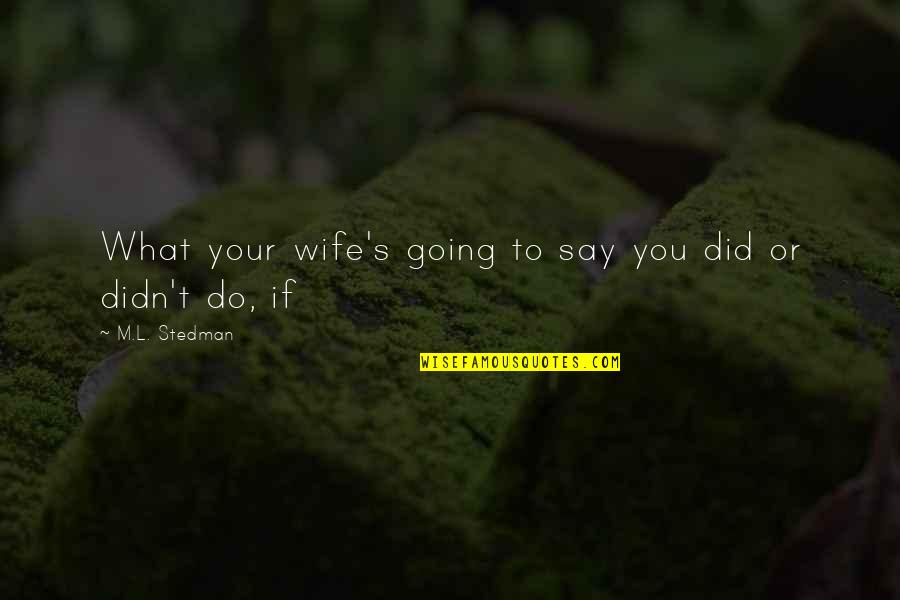 Enishi Yukishiro Quotes By M.L. Stedman: What your wife's going to say you did Enishi Yukishiro Quotes By M.L. Stedman: What your wife's going to say you did