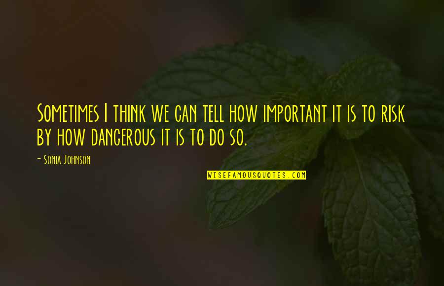 Enishi Yukishiro Quotes By Sonia Johnson: Sometimes I think we can tell how important Enishi Yukishiro Quotes By Sonia Johnson: Sometimes I think we can tell how important