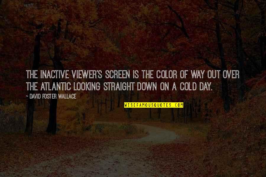 Enjaulado Quotes By David Foster Wallace: The inactive viewer's screen is the color of