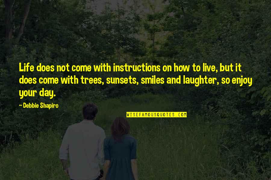 Enjoy A Sunset Quotes By Debbie Shapiro: Life does not come with instructions on how