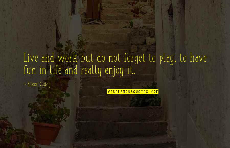 Enjoy And Fun Quotes By Eileen Caddy: Live and work but do not forget to