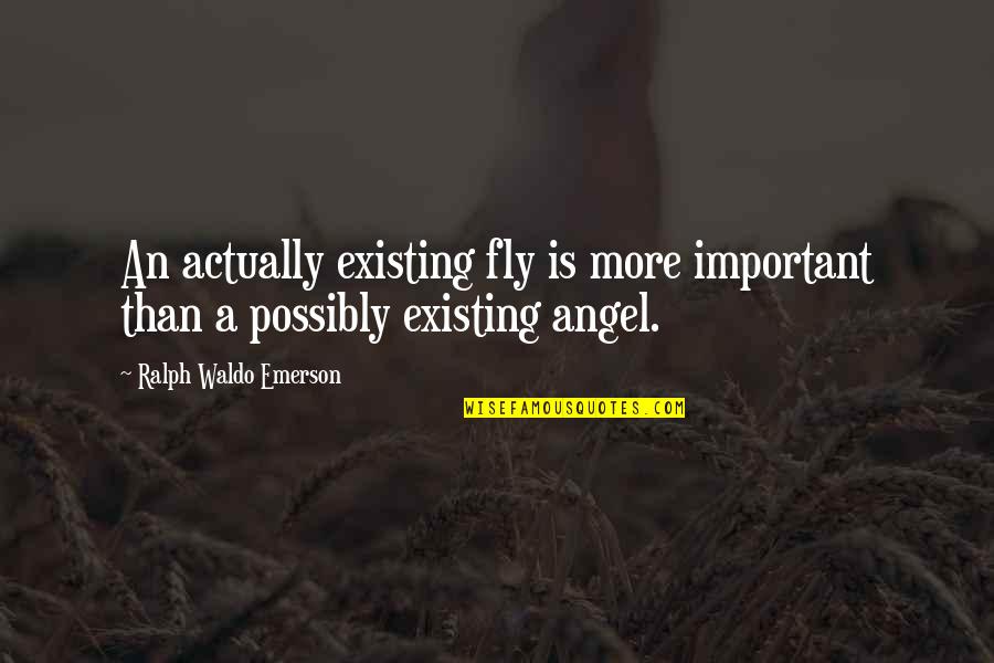Enjoy And Share Quotes By Ralph Waldo Emerson: An actually existing fly is more important than