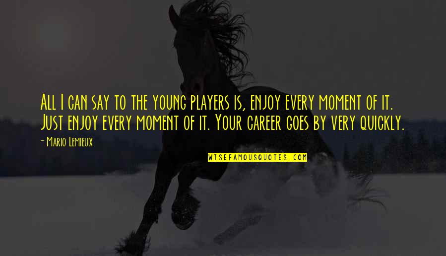 Enjoy Every Moment With You Quotes By Mario Lemieux: All I can say to the young players