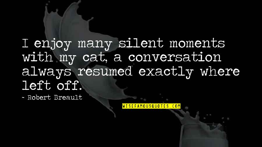 Enjoy Moments Quotes By Robert Breault: I enjoy many silent moments with my cat,