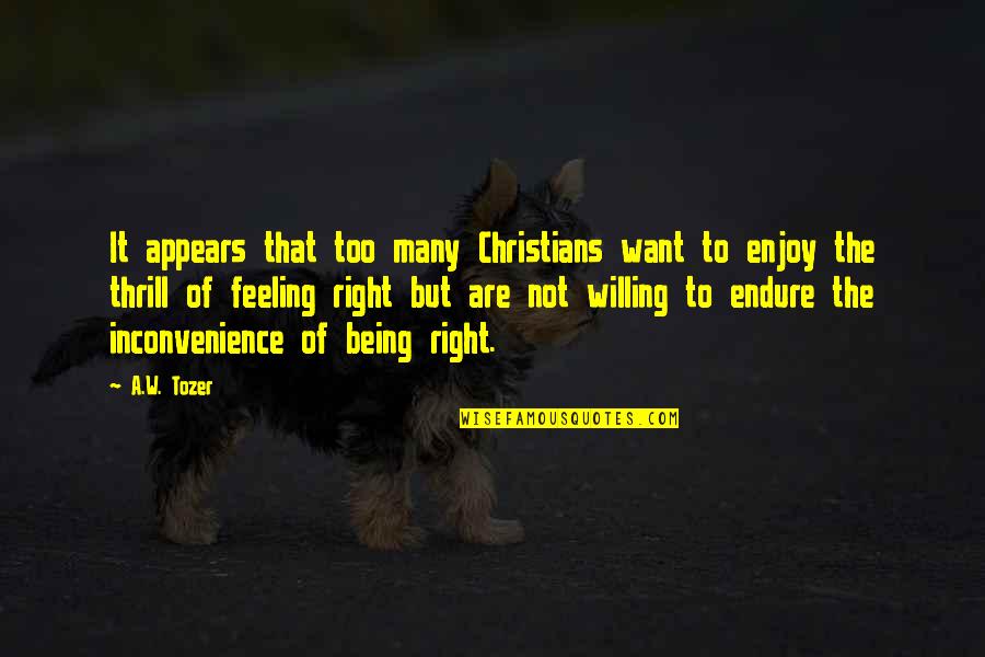 Enjoy Right Now Quotes By A.W. Tozer: It appears that too many Christians want to